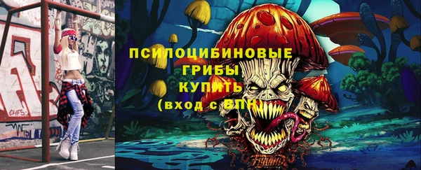 круглые Белокуриха
